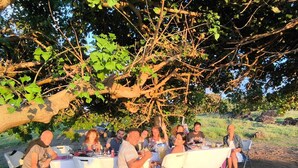 Un groupe de personnes est assis à une table à l’extérieur, sous un arbre, sur laquelle est posée une nappe blanche, et des chaises sont disposées autour.