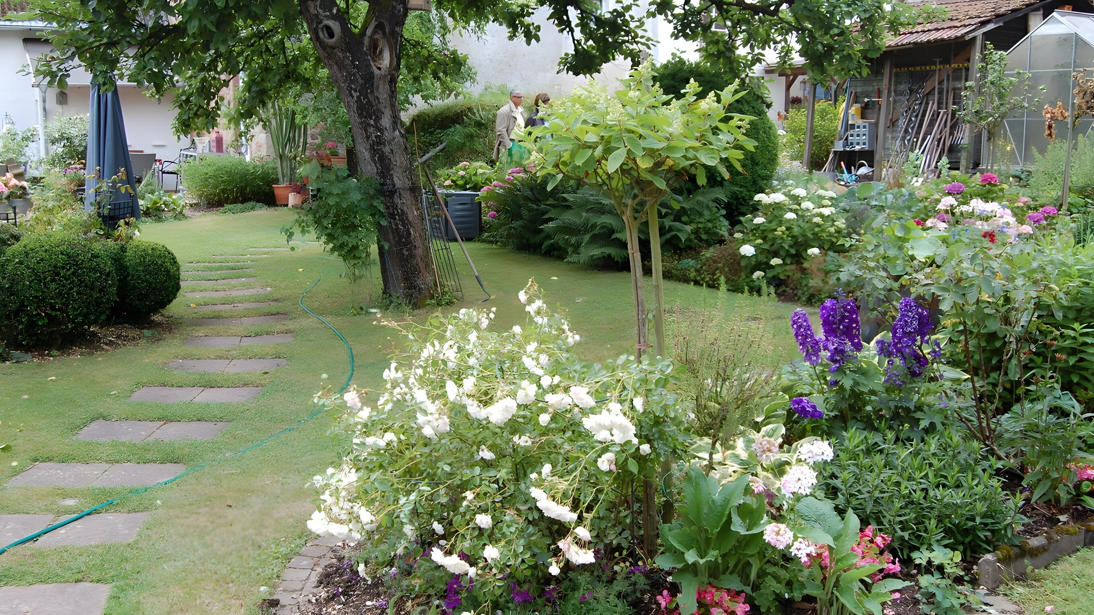 A garden with a stone pathway, various flowering plants, and a greenhouse structure.