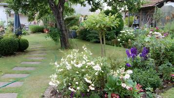 A garden with a stone pathway, various flowering plants, and a greenhouse structure.