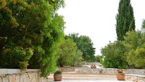 A stone pathway leading to a garden with potted plants and a tall tree. - Room 'Corte Del Camedrio Lamia 2' with Shared Terrace, Wi-Fi and Air Conditioning (Ostuni)