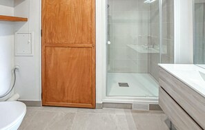 Shower, hair dryer - 1 bedroom amazing apartment in Juilly (Juilly)