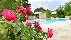 A pool area with a stone patio, surrounded by lush greenery and pink roses.