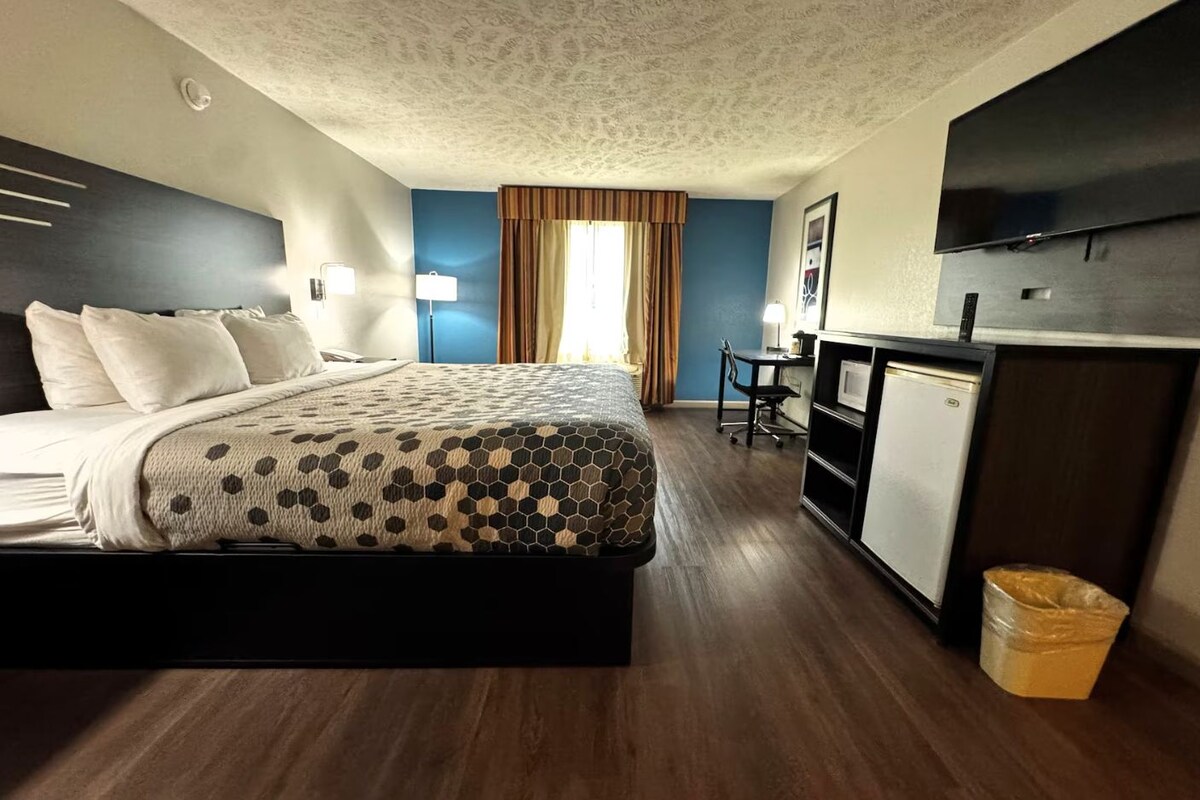 Habitación de hotel con cama, escritorio, silla, televisor y un basurero.