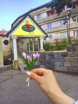 Property grounds - Writers Hotel in Tsaghkadzor (Tsaghkadzor)