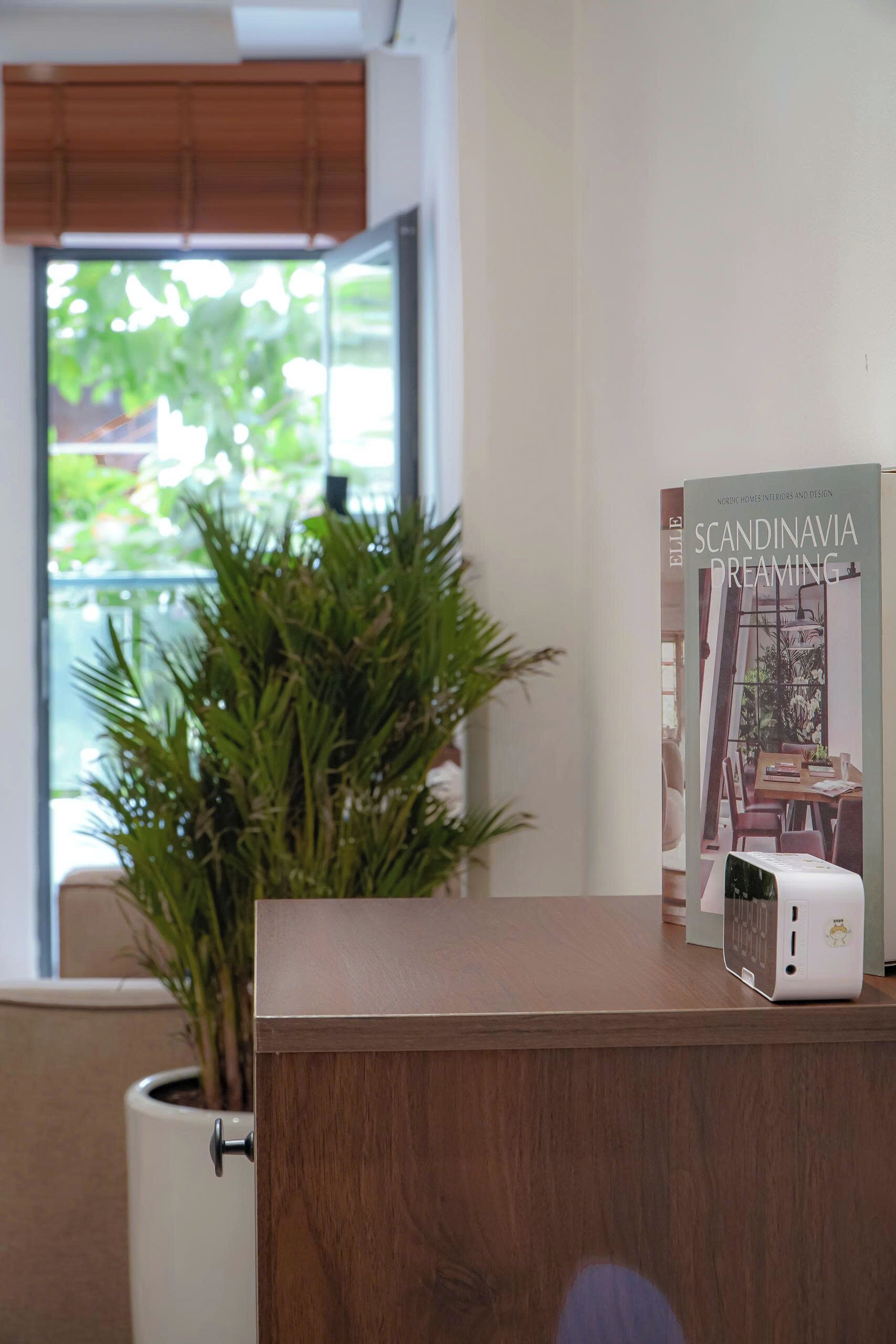 A wooden reception desk with a potted plant, a book titled 'Scandinavian Dreaming,' and a white device on the desk.