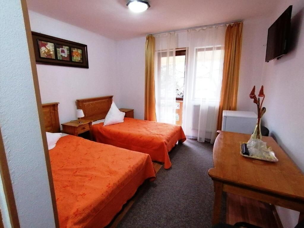 Basic Twin Room, Balcony, Mountain View