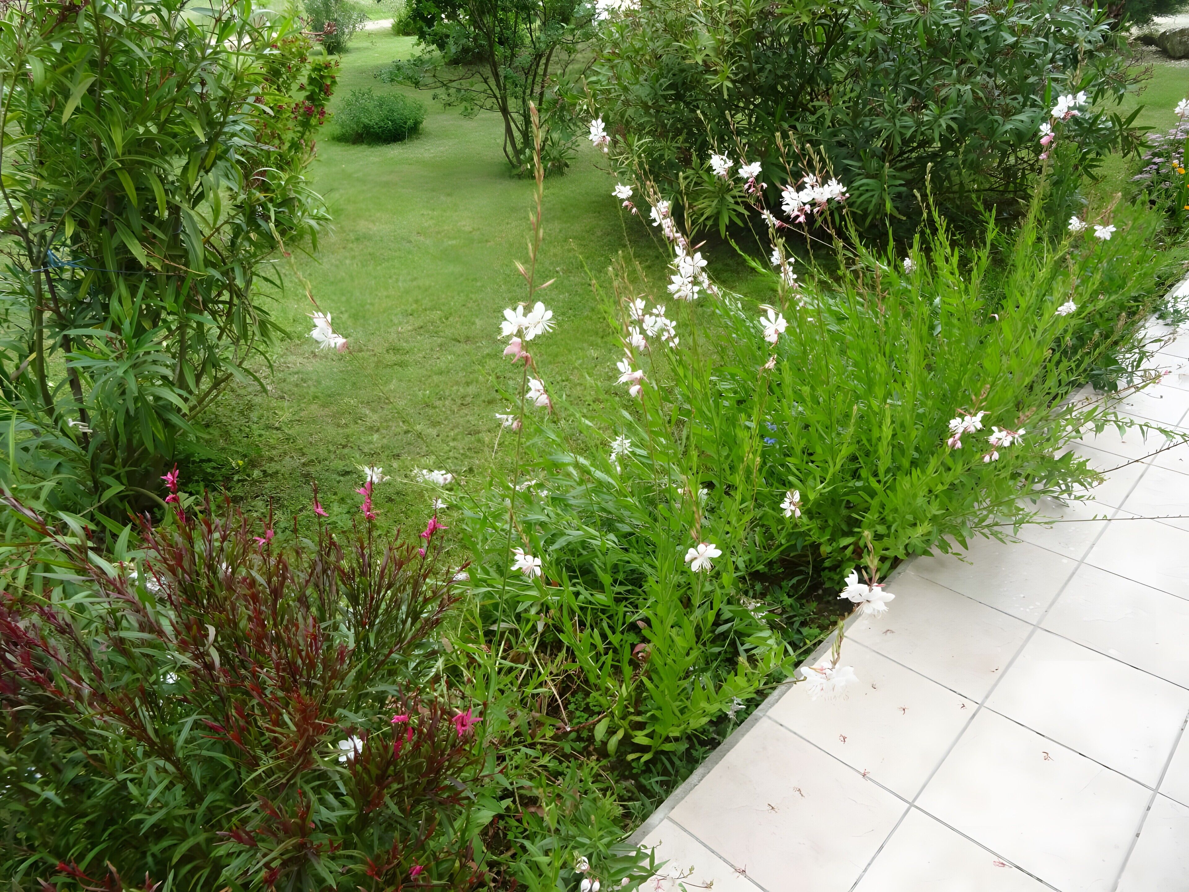 Terrain de l’hébergement 