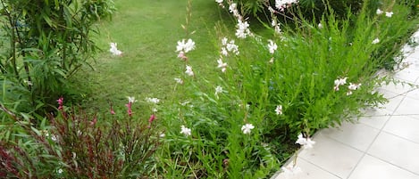 Terrain de lâhĂ©bergement