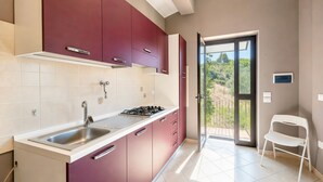 Una cocina moderna con estufa a gas, lavamanos y alacenas.