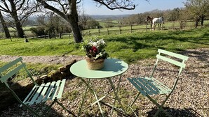 Una mesa con sillas, una planta en maceta y una vista de caballos en un campo cercado.