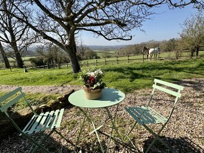 Property grounds - Blackmoor View Cottage - sleeps 2 guests  in 1 bedroom (Knighton)