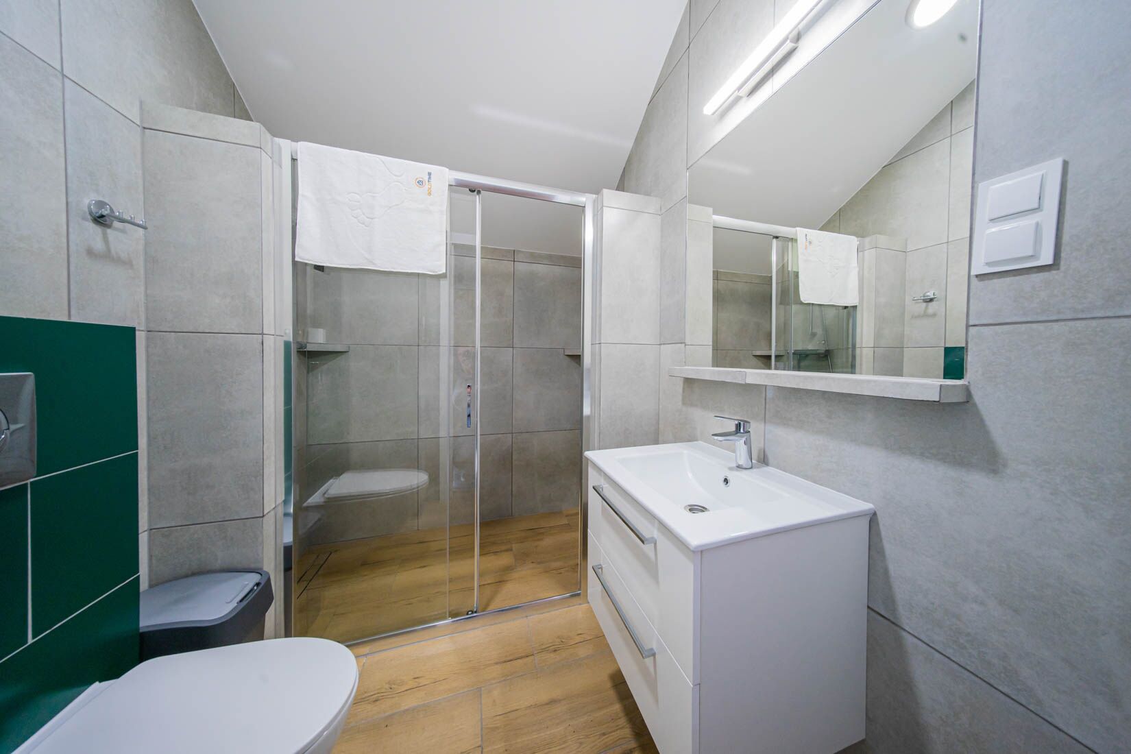 A modern bathroom with a glass shower enclosure, a white sink, and a toilet.