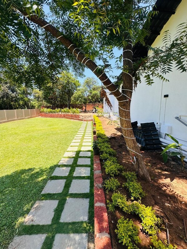 A garden with a paved walkway, a tree, and a white building. - Casa Mounterria (Alibag)