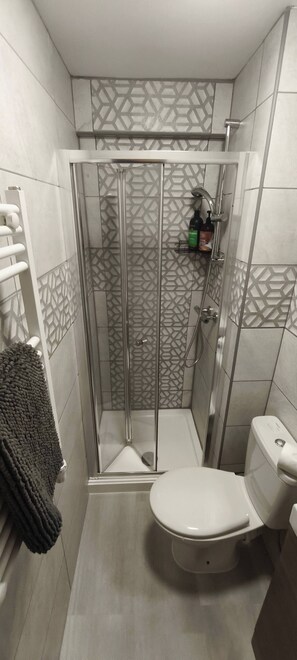 共同ドミトリー 1 ベッドルーム | バスルーム