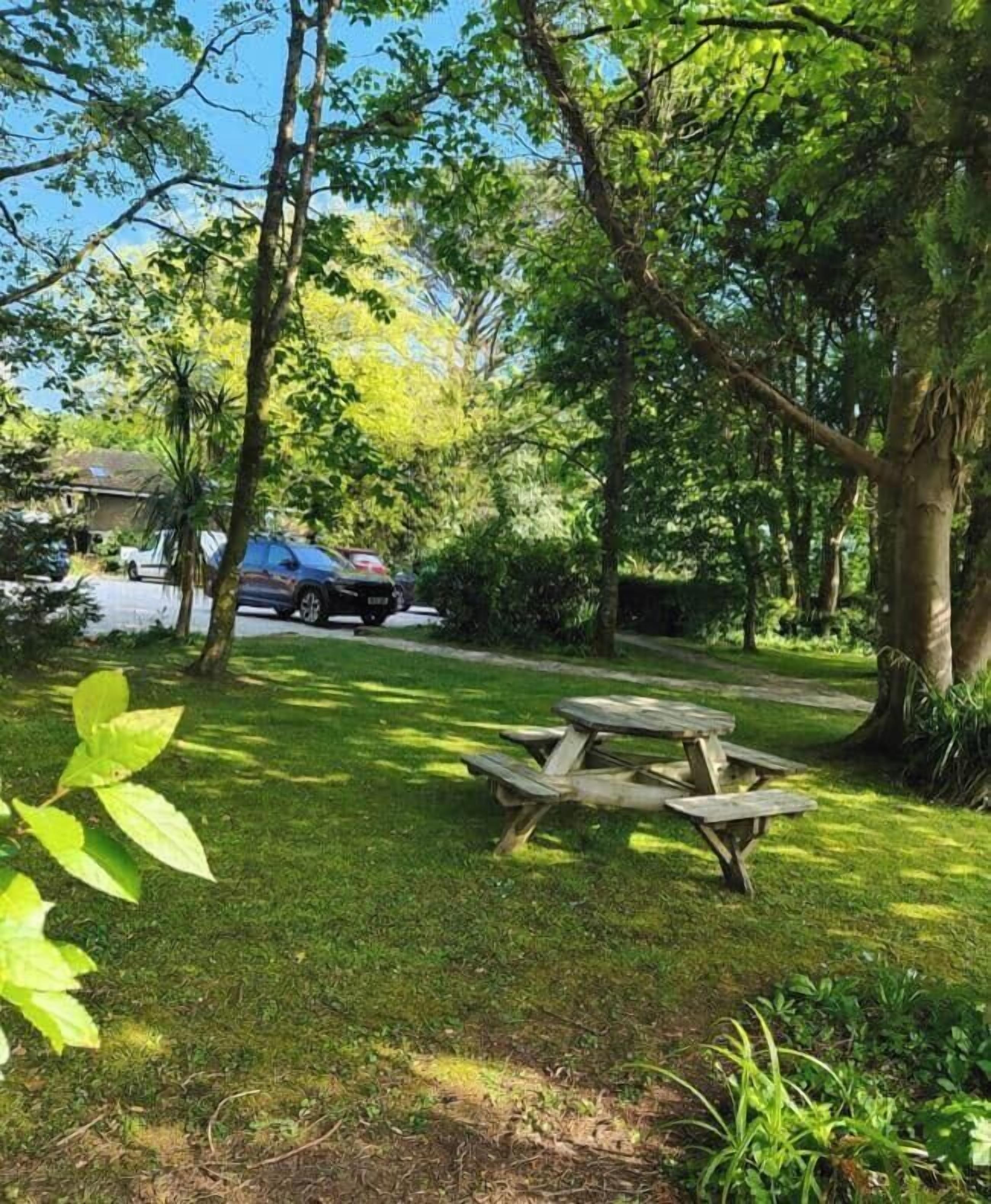 A picnic table in a grassy area with trees and a parked car in the background.