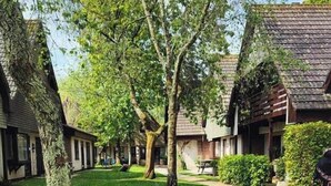 Un patio con césped, árboles y edificios tradicionales.