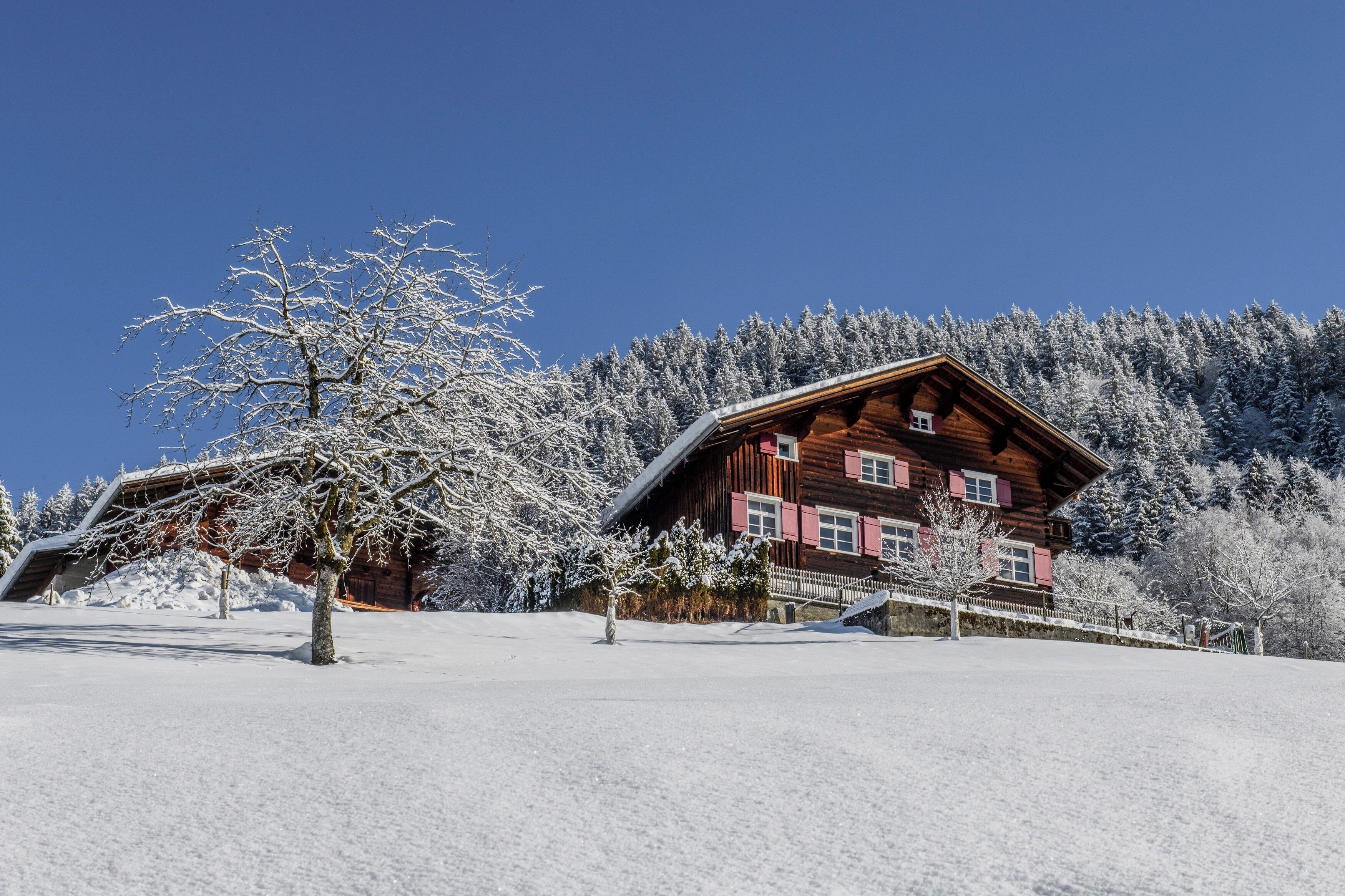 Een houten hut met een schuin dak, omringd door met sneeuw bedekte bomen en een helderblauwe lucht.