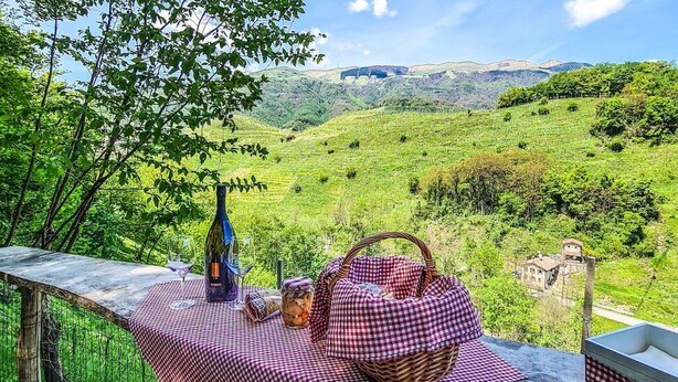 A picnic setup with a checkered tablecloth, a bottle, a basket, and a jar of food on a wooden table overlooking a lush valley. - B&B Mirò (Pieve di Soligo)