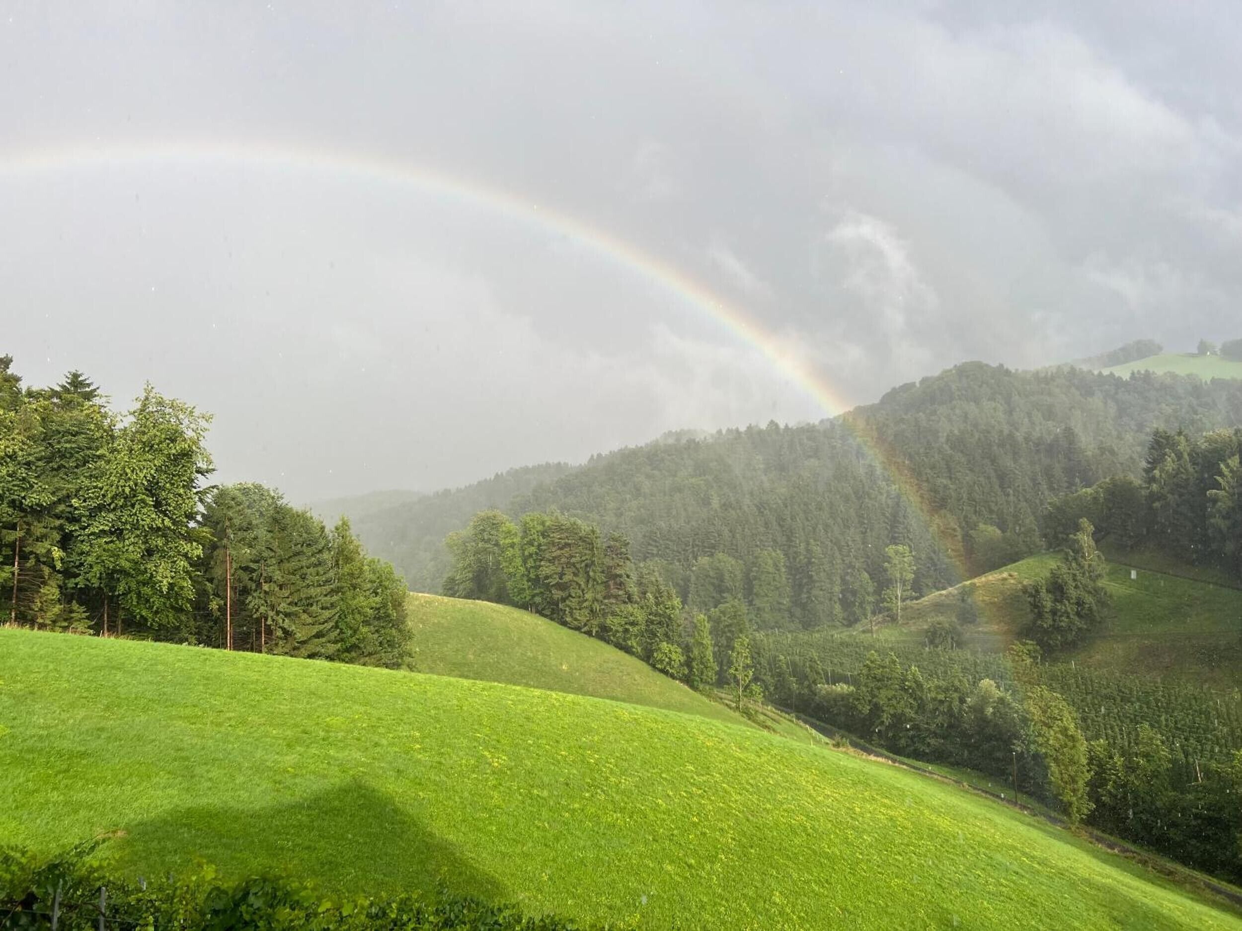 A lush green landscape with rolling hills and a rainbow in the sky.