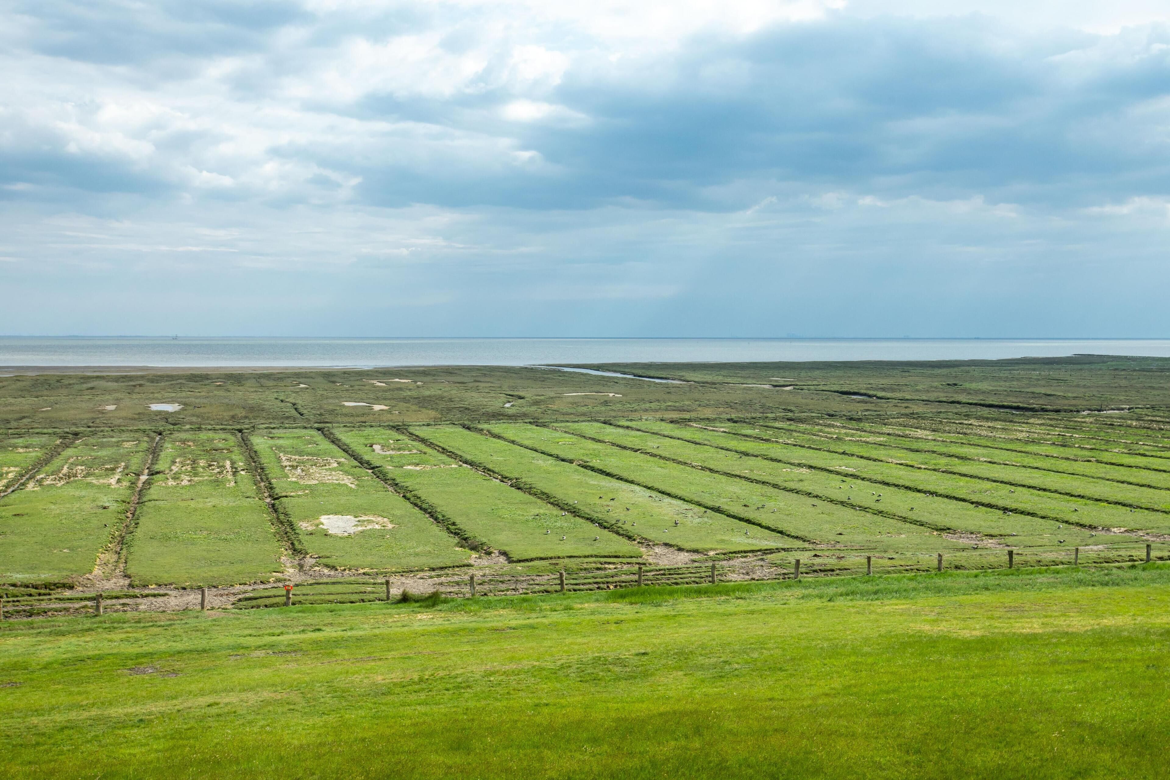 Un extenso campo agrícola con un cuerpo de agua distante bajo un cielo nublado.