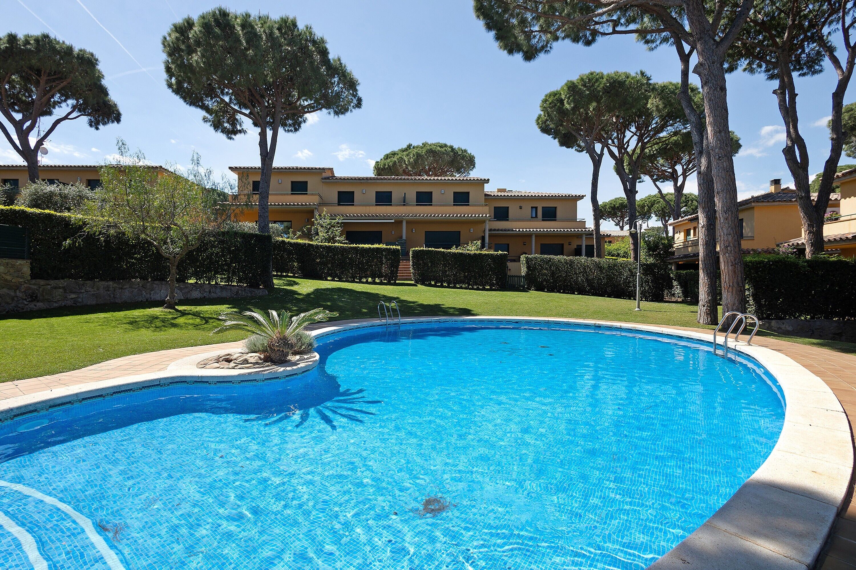 A swimming pool with a curved edge, surrounded by a well-maintained lawn and trees, with a building in the background.