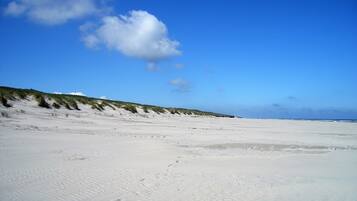 In Strandnähe