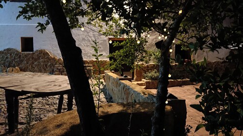 The courtyard house