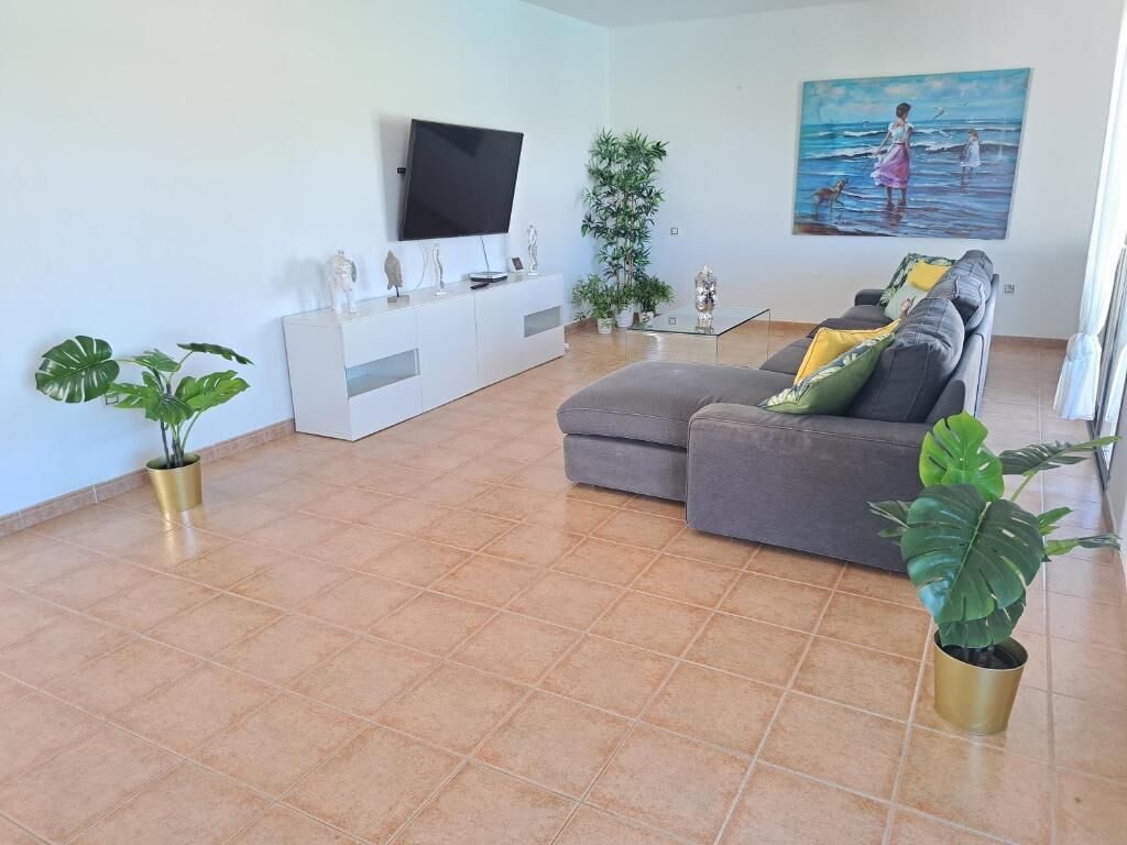 Un salon avec un canapé gris, un téléviseur à écran plat, un tableau et des plantes en pot.