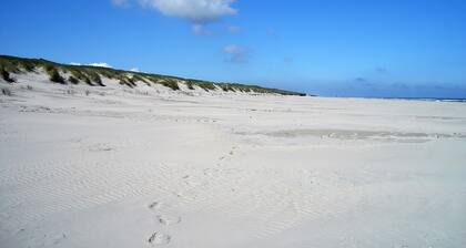 Modernes Ferienhaus für 7 Personen mit Sauna und Terrasse