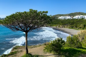 Playa en los alrededores 