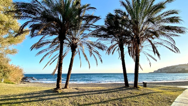 A beach with palm trees and the ocean. - Beach Apartment with Pool, Terrace & Parking (Velilla-Taramay)