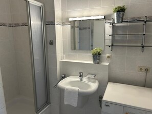 Een badkamer met een douchecabine van glas, een wastafel met een handdoek, een spiegel en een potplant op de plank.