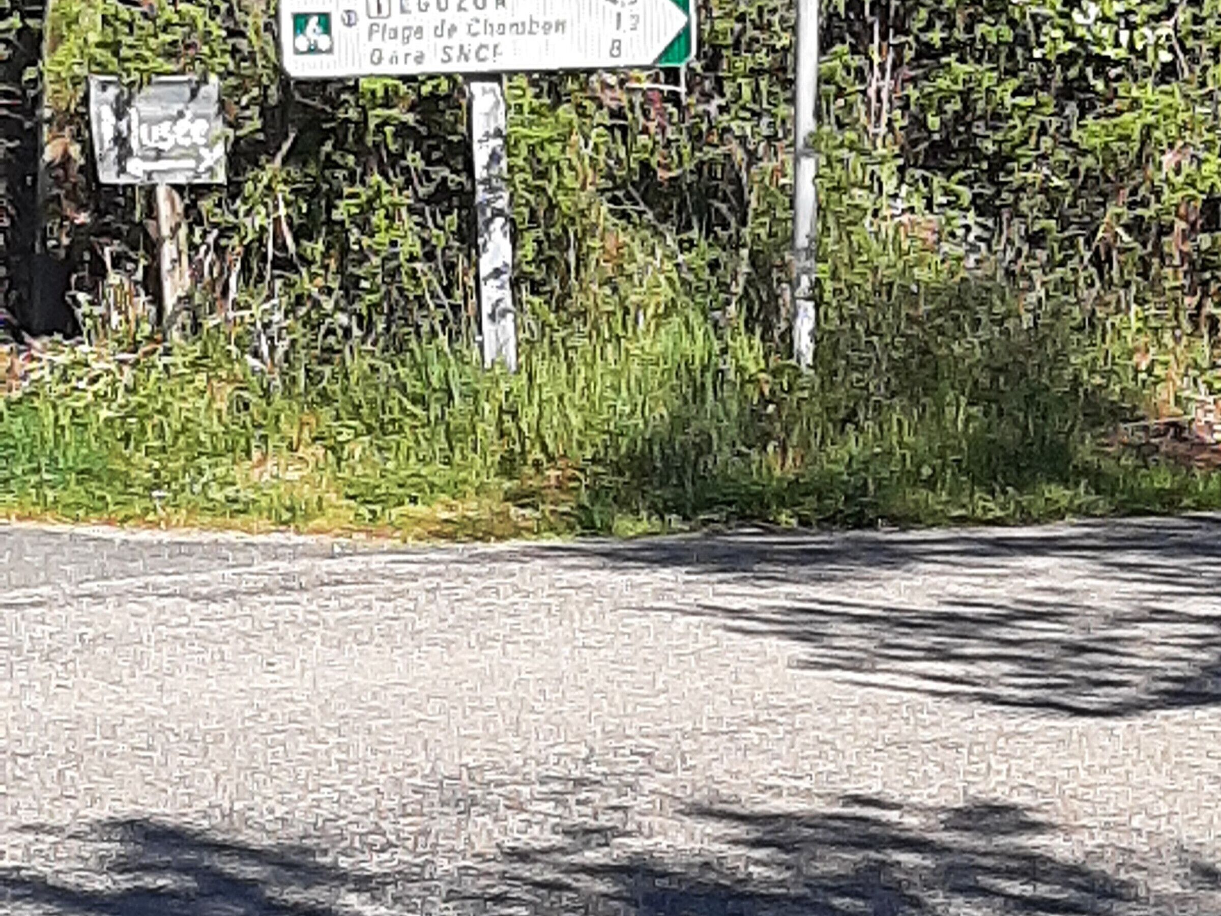 Ein Wegweiser mit Beschilderung zu verschiedenen Orten.