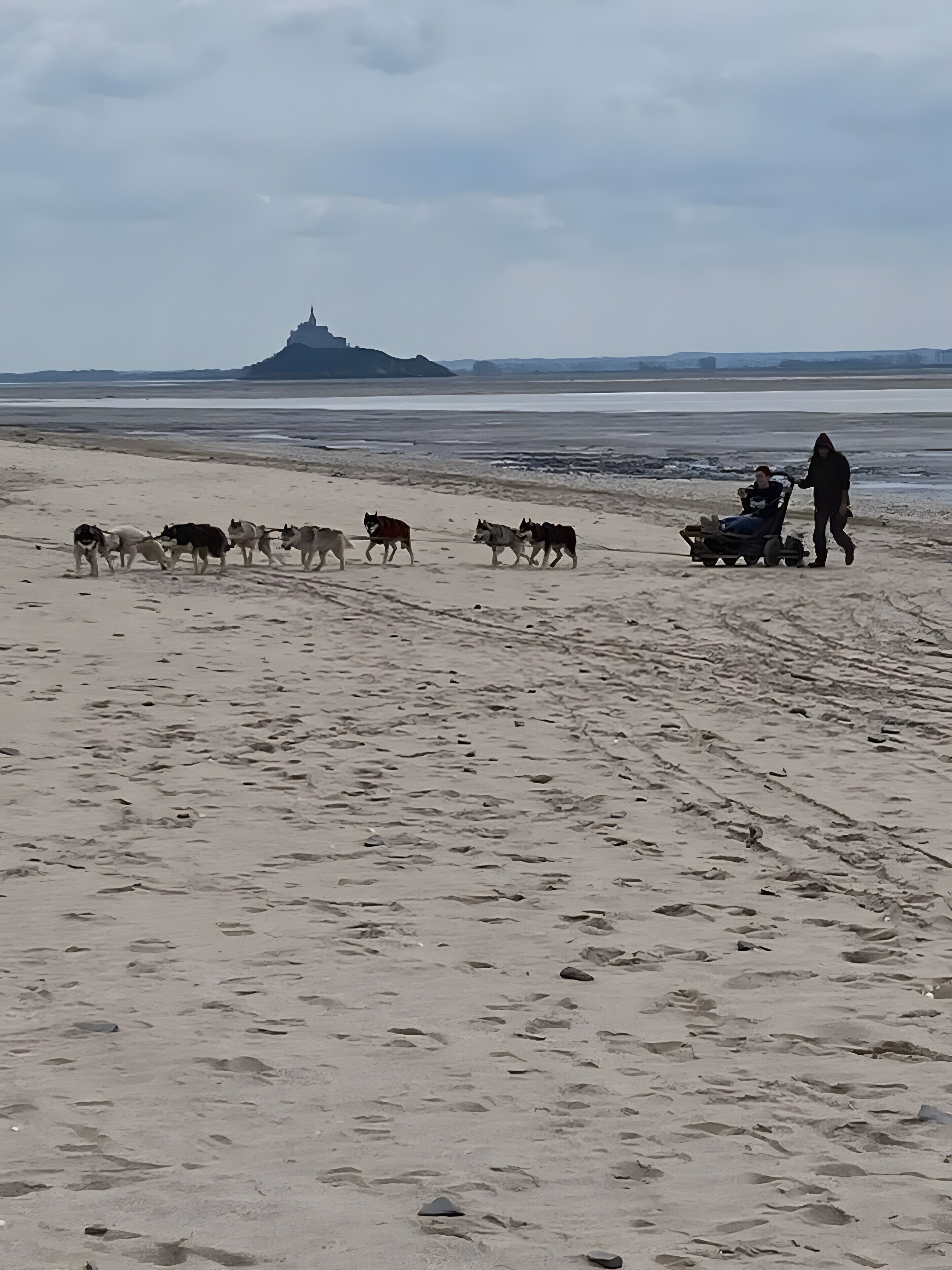 A beach with a sled being pulled by dogs, a person standing beside it, and a distant mountain.