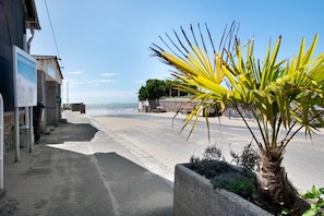 Eine Küstenstraße mit einer Pflanze in einem Blumentopf, blauem Himmel und einem entfernten Blick auf das Meer.