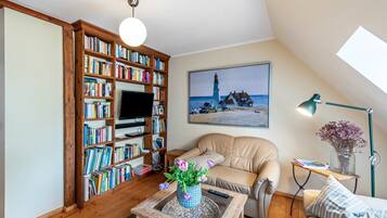 Fernseher, Kamin, Videospiele, DVD-Player