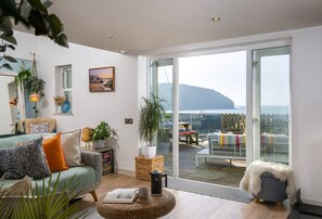 Smart-TV, Kamin