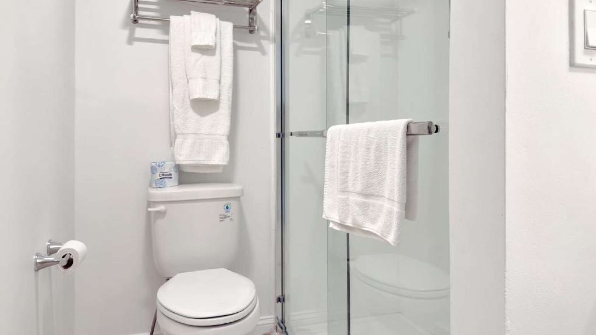 Shower, hair dryer