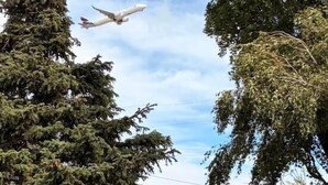 Un área arbolada con una valla y una carretera.