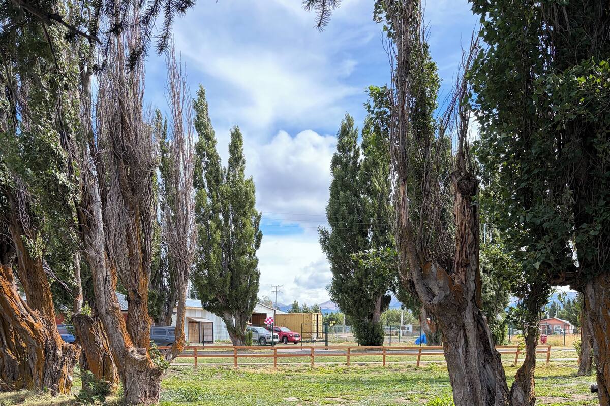 公寓, 花園景 | 住宿地面