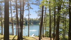 Ein Waldgebiet mit einem See, einem Weg und einer Bank.