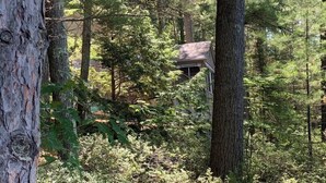 Un área boscosa con una casa parcialmente oculta entre los árboles.