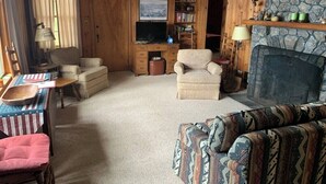 Una sala de estar acogedora con paredes de madera, chimenea, televisor y estantería.