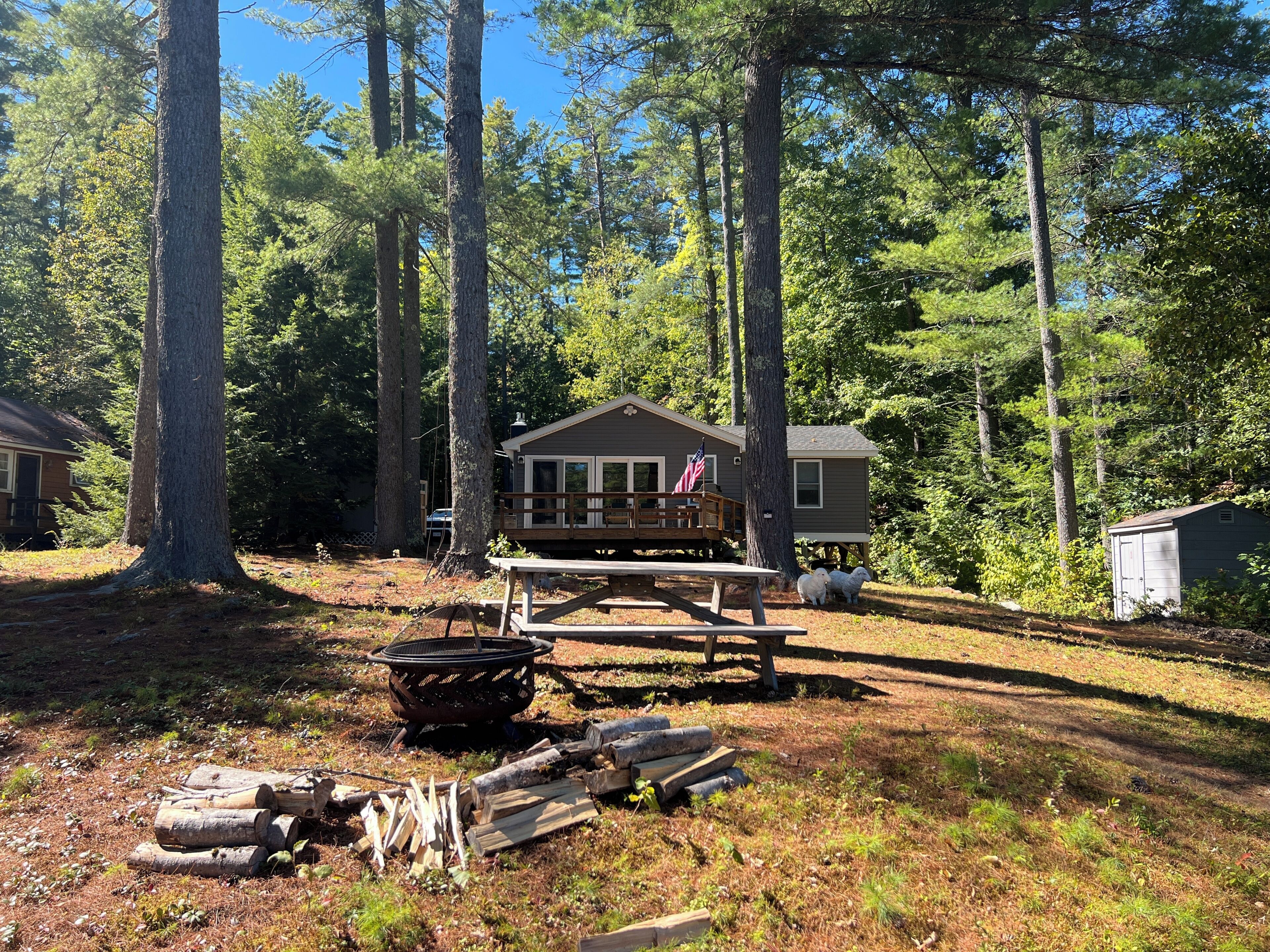 Mökki, jossa on terassi, ja sen ympärillä kohoaa korkeita puita. Etualalla on nuotiopaikka.