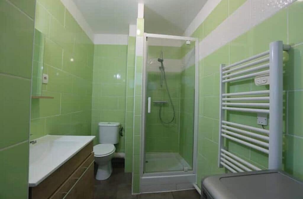 Shower, hair dryer