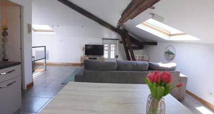 Charming rooftop cocoon in Vizille