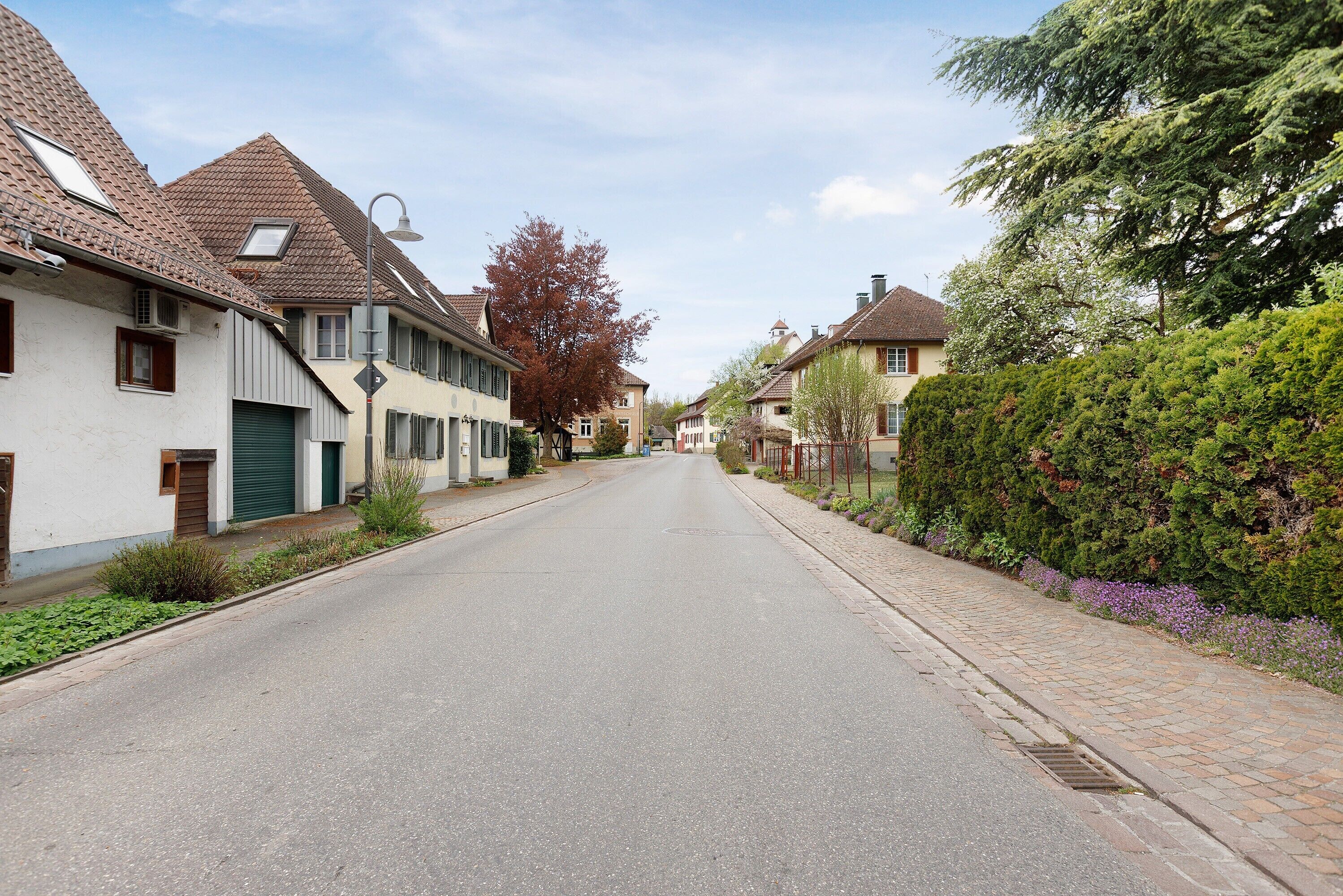 Een rustige woonstraat met huizen, een heldere lucht en een keurig onderhouden voetpad.