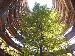 A tree in a modern building with a unique architectural design. - 4 Star Holiday Home in Sagad (Sagard)
