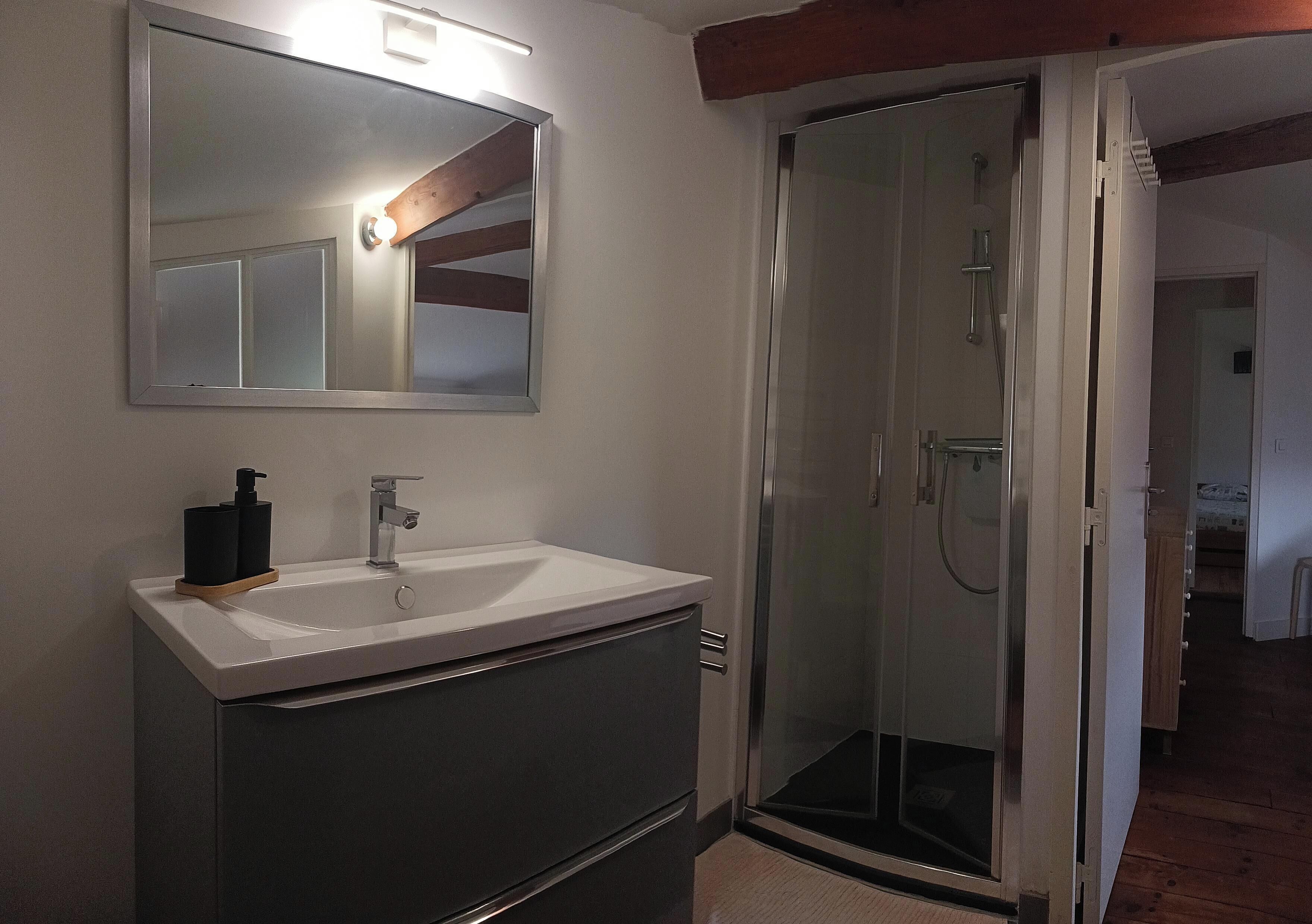 Shower, hair dryer, toilet paper