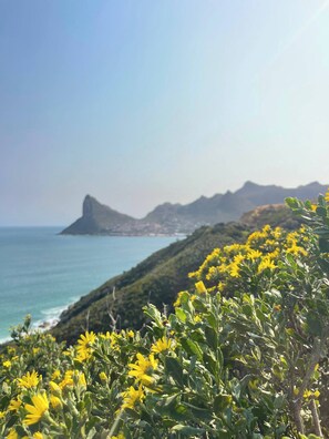 Rum - 1 sovrum - rökare - balkong | Exteriör